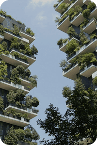 SUSTAINABLE CITIES AND COMMUNITIES