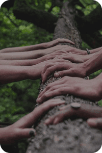 PARTNERSHIPS FOR THE GOALS